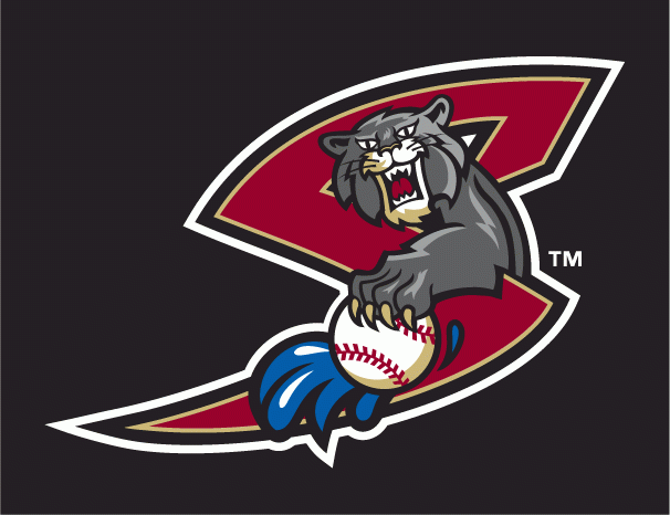 sacramento river cats 2011-pres cap logo iron on transfers for T-shirts